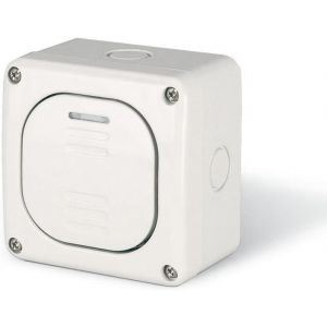 Кръстат ключ 10А за открит монтаж IP 66